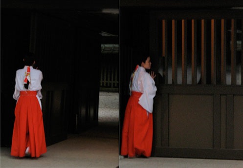 Dojo